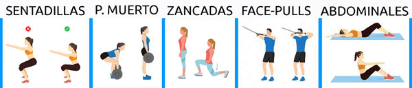 Ejercicios gimnasio