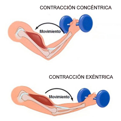 Tipos de movimientos